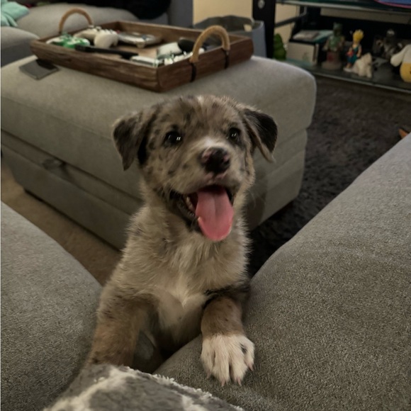 Meet your Poshers, Rob and Aly! - Picture 3 of 7